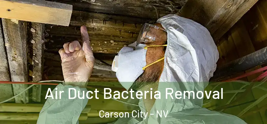  Air Duct Bacteria Removal Carson City - NV