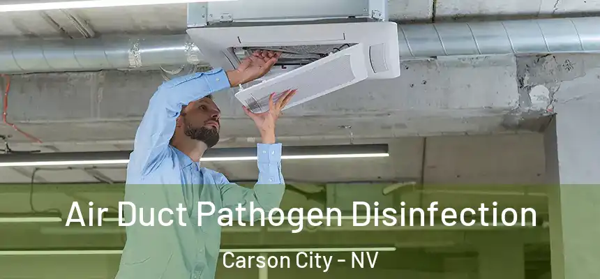 Air Duct Pathogen Disinfection Carson City - NV