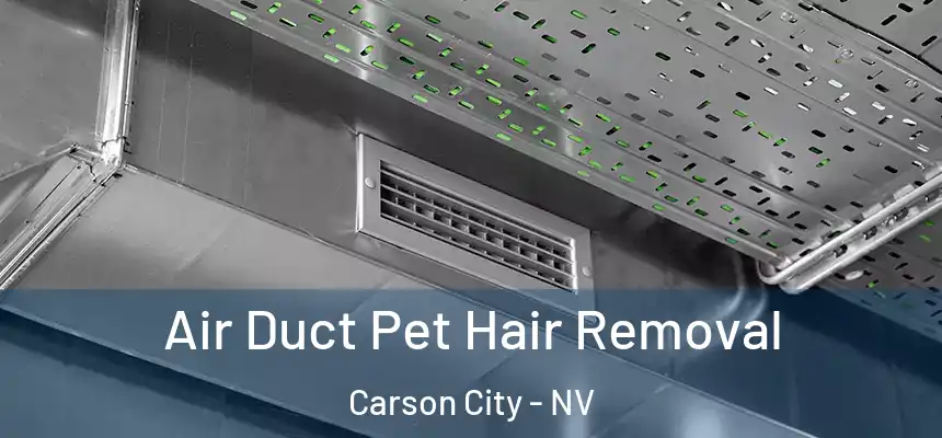 Air Duct Pet Hair Removal Carson City - NV