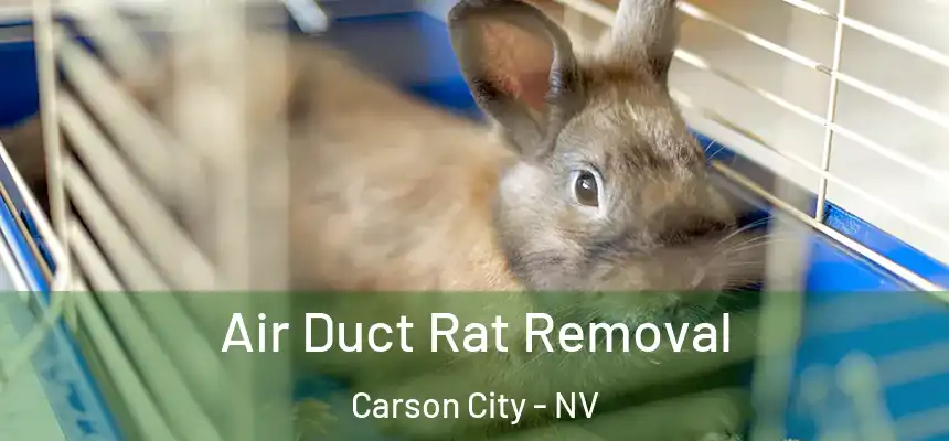 Air Duct Rat Removal Carson City - NV