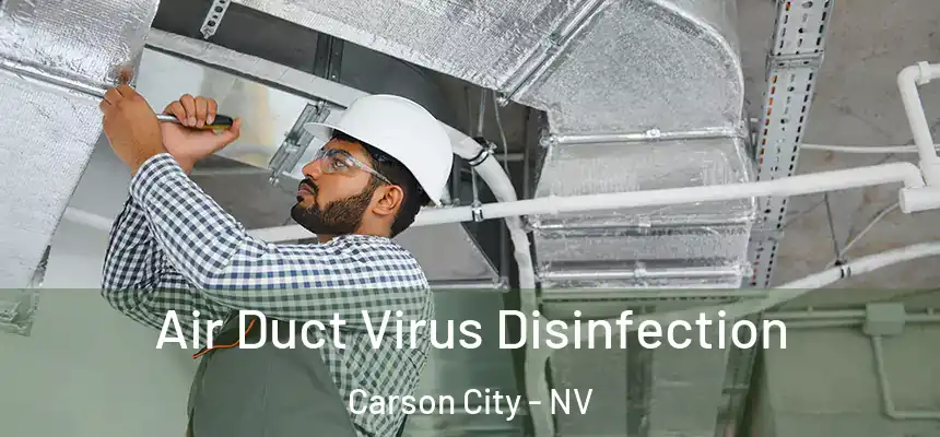 Air Duct Virus Disinfection Carson City - NV