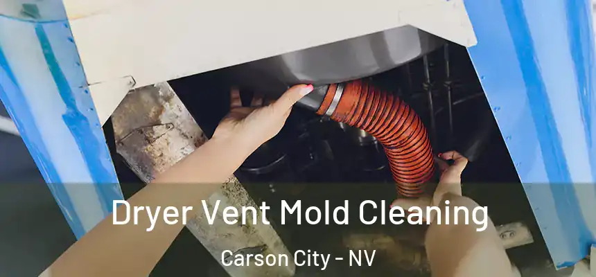  Dryer Vent Mold Cleaning Carson City - NV