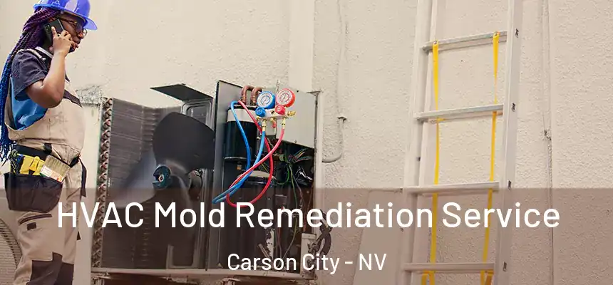 HVAC Mold Remediation Service Carson City - NV