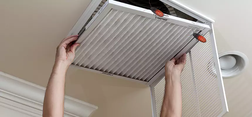 Preventive Cockroach-Proofing for Ducts in Carson City