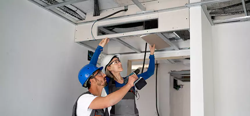 Our Air Duct Virus Disinfection Services in Carson City, NV