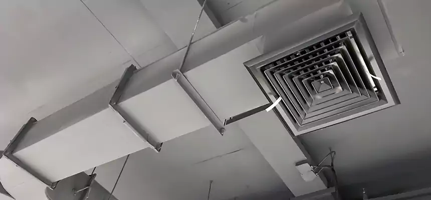 Restorative Allergy Relief Vent Cleaning – Coil, Blower & Housing Detail in Carson City