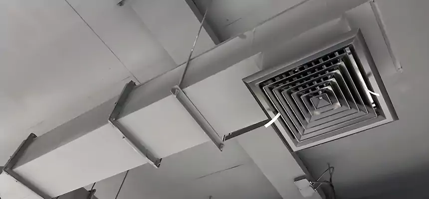 Our Rodent Droppings In Vents Services in Carson City, NV