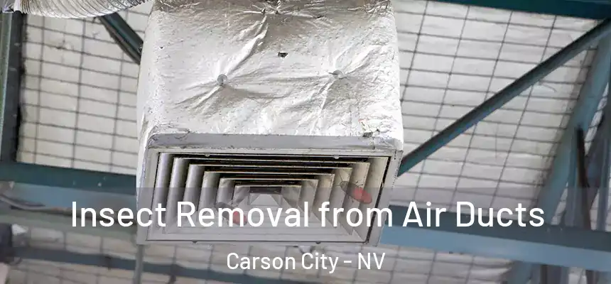 Insect Removal from Air Ducts Carson City - NV