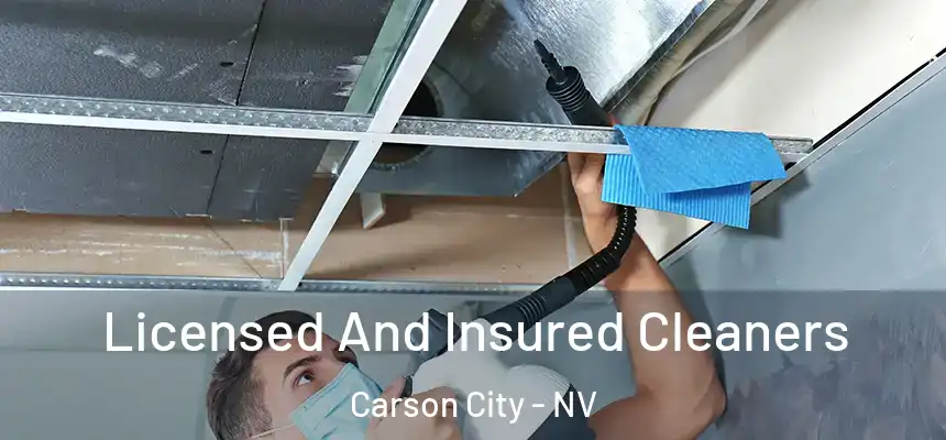  Licensed And Insured Cleaners Carson City - NV