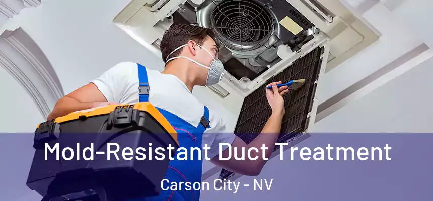 Mold-Resistant Duct Treatment Carson City - NV
