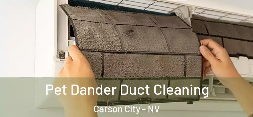 Pet Dander Duct Cleaning Carson City - NV
