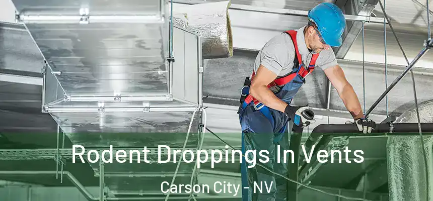 Rodent Droppings In Vents Carson City - NV
