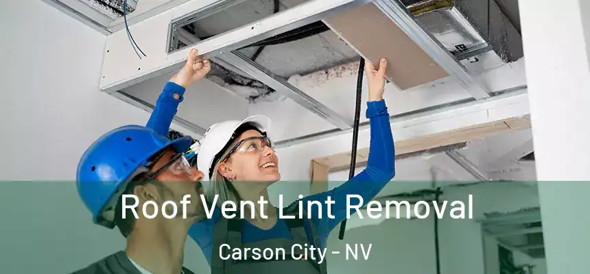 Roof Vent Lint Removal Carson City - NV