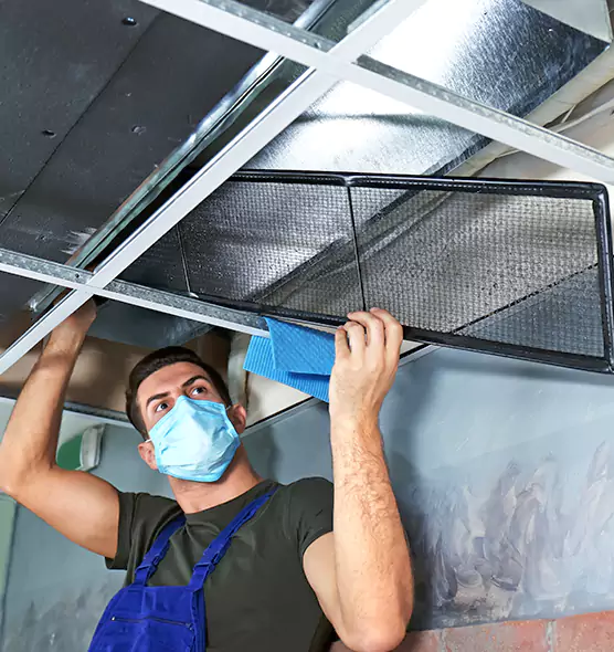 Professional Air Duct Pollen Cleaning in Carson City, NV