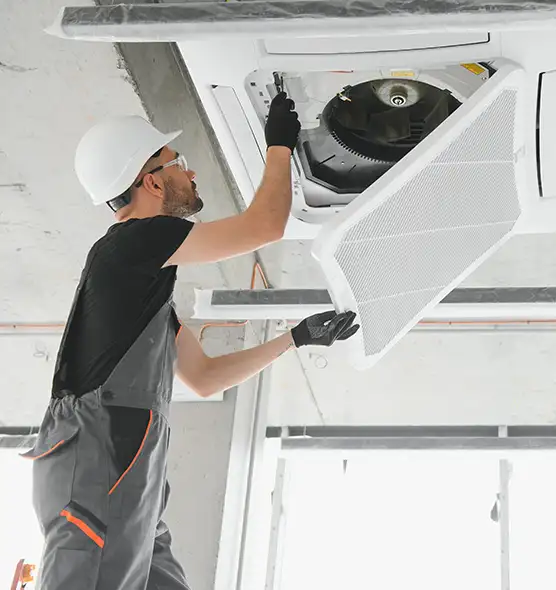 About Air Duct Rodent Removal in Carson City, NV