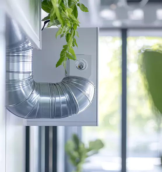 Professional Eco-Friendly Duct Cleaning Services in Carson City, NV