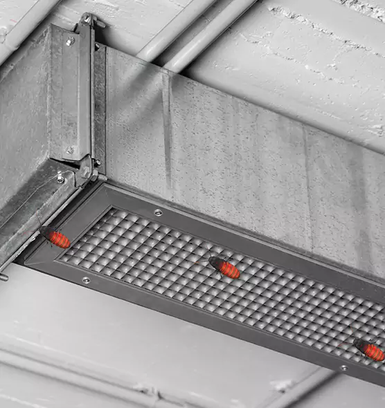 Affordable Insect Removal from Air Ducts in Carson City, NV