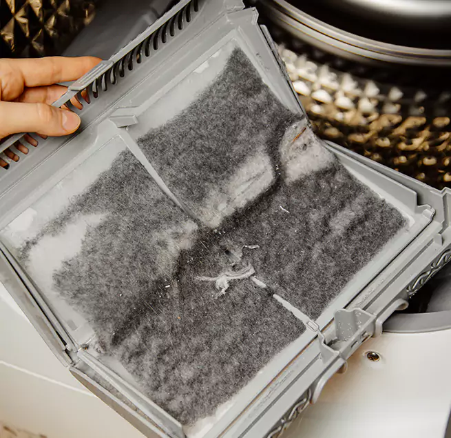  Why Homeowners & Businesses Trust Us Carson City, NV?