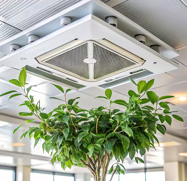 Why Homeowners & Businesses Trust Us in Carson City, NV?