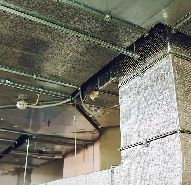 Why Homeowners & Businesses Trust Us in Carson City, NV?